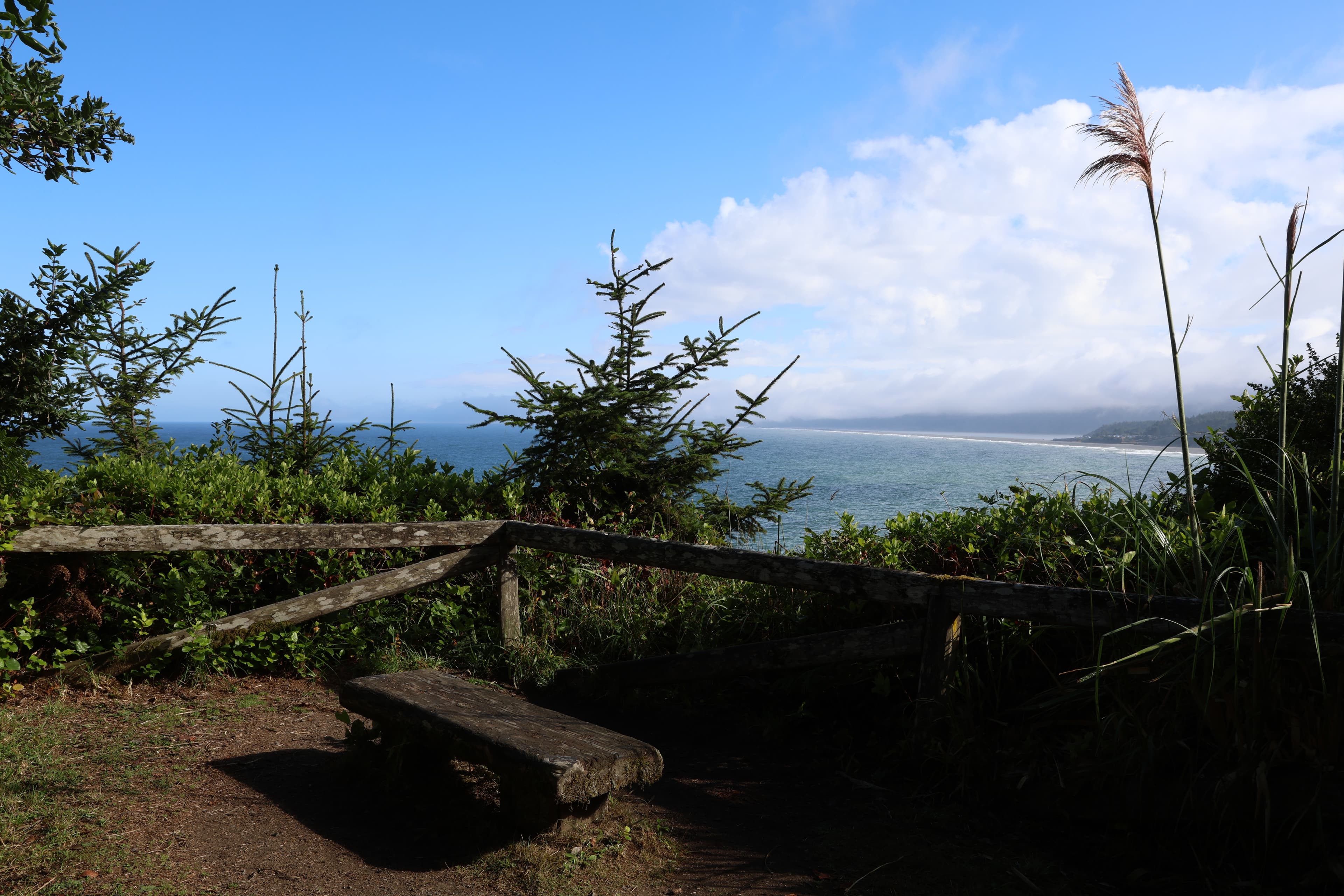 Bench overlooking coast