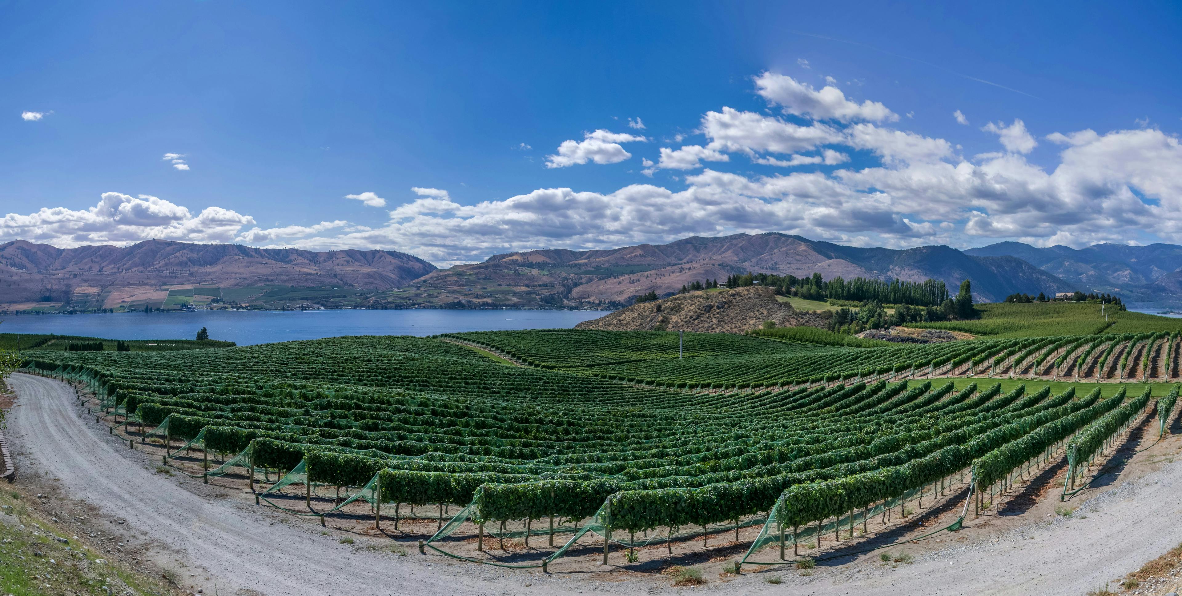 13 Wonderful Harvest Host Locations in Washington State-2