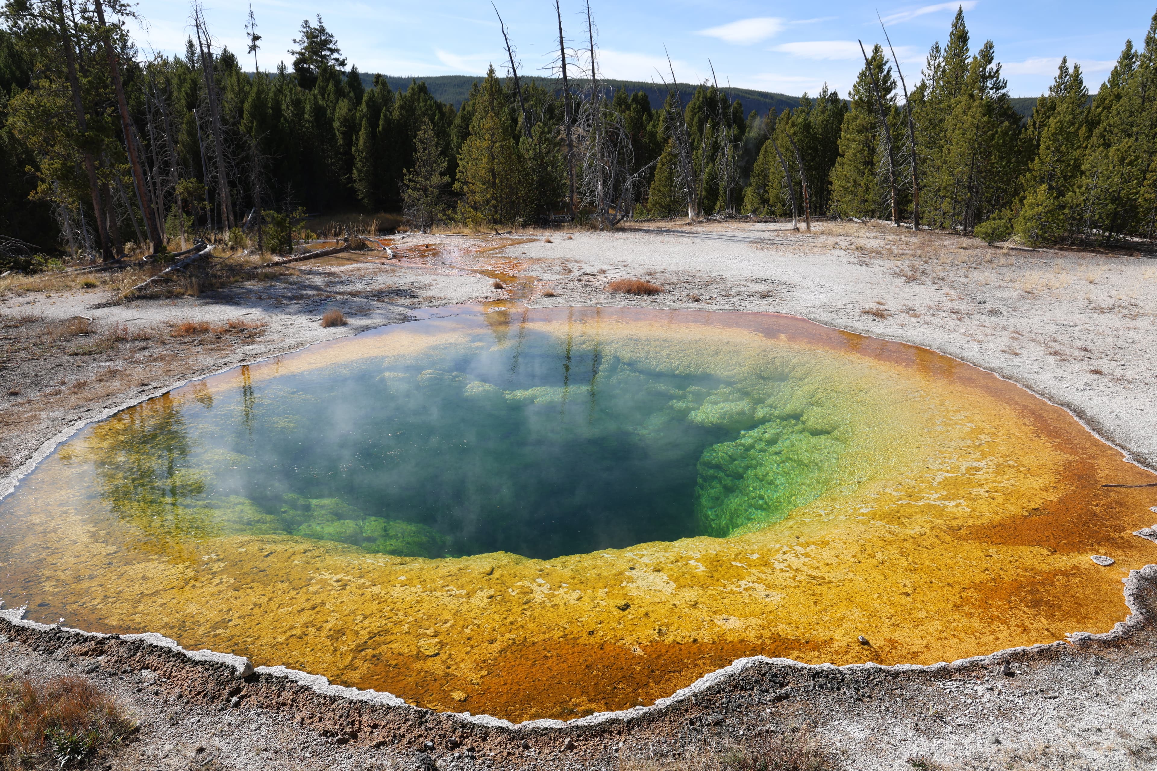 National Parks at Risk: The Impact of Staff Cuts and Environmental Challenges-3