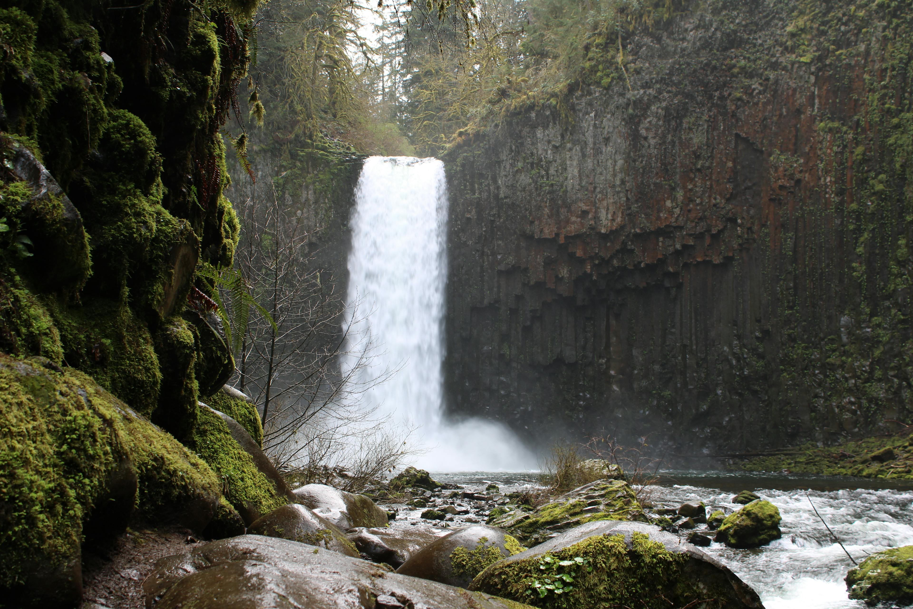 Hidden Gems: Exploring Oregon's Secret Waterfalls