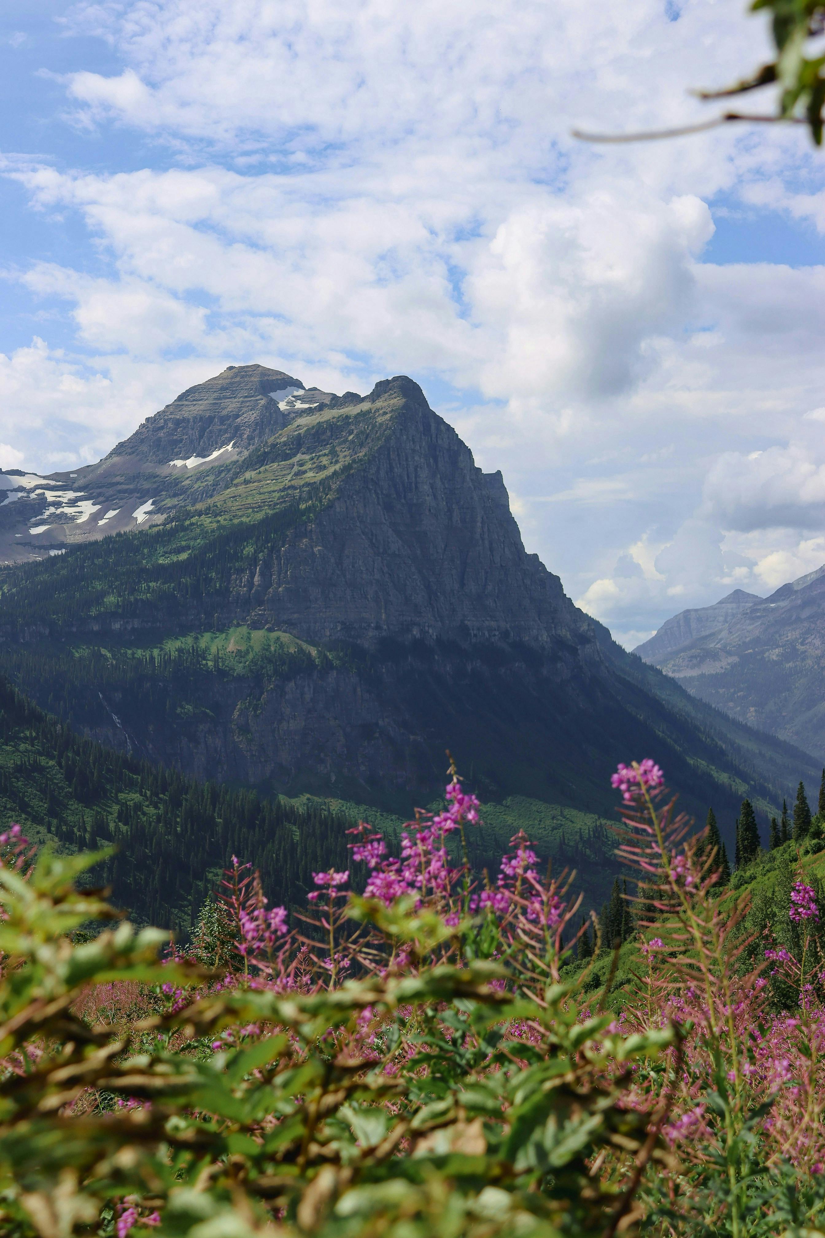 Exploring Free Camping in Montana: A Guide to the Best Spots