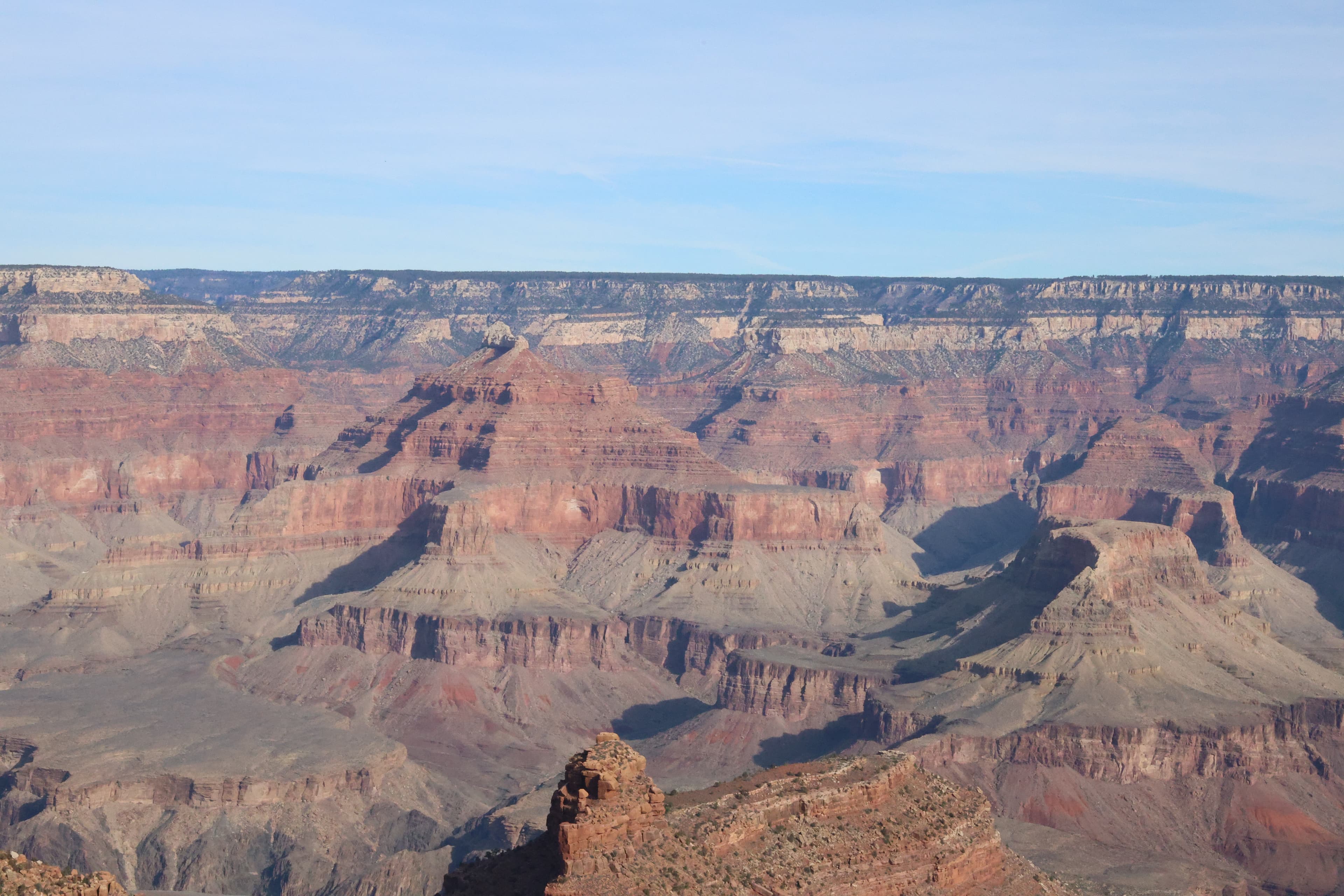 National Parks at Risk: The Impact of Staff Cuts and Environmental Challenges